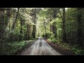 SOUND FOR SLEEPING / DEEP RELAXATION - ⛈🌳  RAINY FOREST 🌳 ⛈ 20MIN TO FALL ASLEEP (BLACK SCREEN)