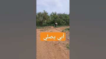 #الجزائر #القرآن_الكريم #تلاوة #المغرب #السعودية #quran #محمد_الفقيه #القرآن #اكسبلور
