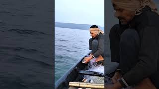 🐟rahu chhoti machali ko jali se nikalte hue or use nav me fekte hue #V.kBhoiMachuara