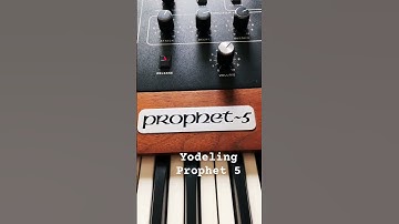 Sequential Prophet 5 rev. 3. #analogsynthesizer #prophet5