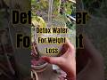 Detox Water For Weight Loss।। Detox water 🍹 #detoxwater #weightloss #fatloss #ytshorts #trending