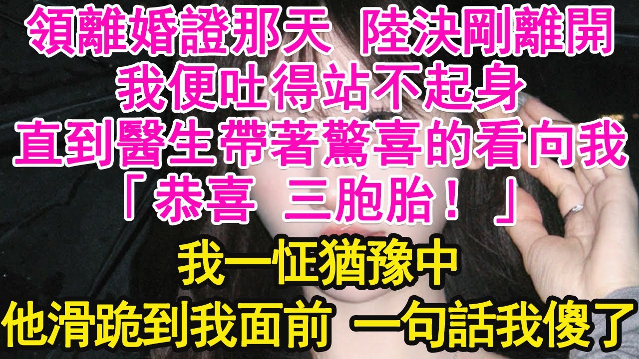 領離婚證那天 陸決剛離開，我便吐得站不起身，直到醫生帶著驚喜的看向我，「恭喜 三胞胎！」我一怔猶豫中，他滑跪到我面前 一句話我傻了【琉璃】【甜寵】【霸總】