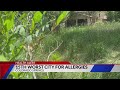 Colorado Springs ranks 15th worst city for allergies