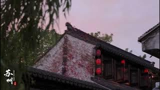 Ascension - National Sweetheart