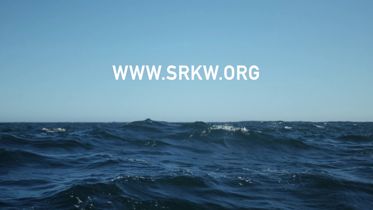 SRKW.org - Southern Resident Killer Whales