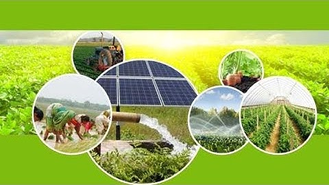 Important Agronomy net bits