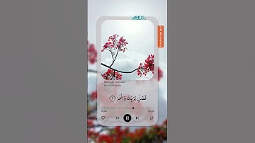 سورة الكوثر _ الشيخ ياسر الدوسري.