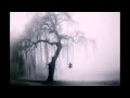 Capture de la vidéo Klaus Schulze - Overchill
