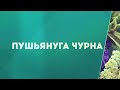 Пушьянуга чурна  Инструкция по применению