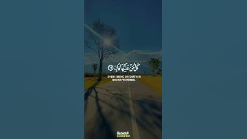 كُلُّ مَنْ عَلَيْهَا فَانٍ | ادريس ابكر | سورة الرحمن | الصحبة | حالات واتس دينية