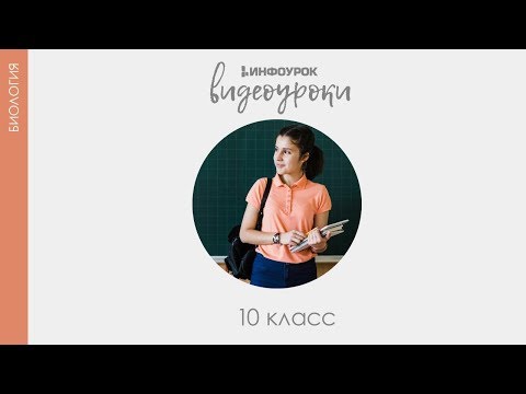 Изменчивость | Биология 10 класс #32 | Инфоурок