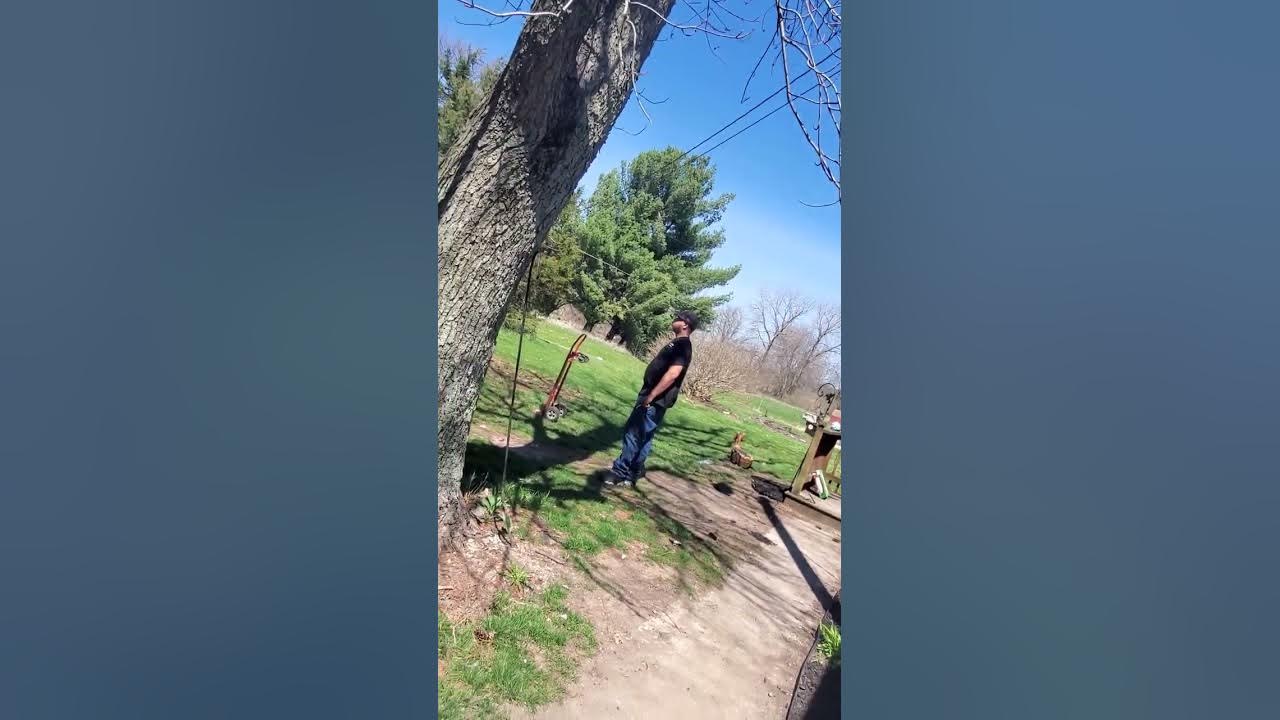 postmaster of willows California post office Toccara woods and Danielle