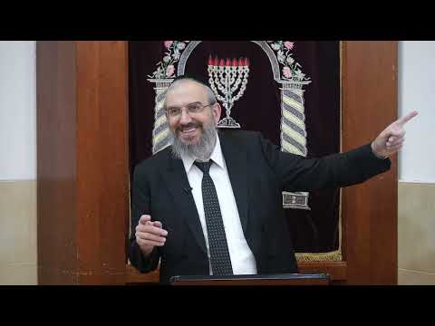 פרשת משפטים תשפ"ו - הרב גואל אלקריף בסיפורים מדהימים לפרשת השבוע