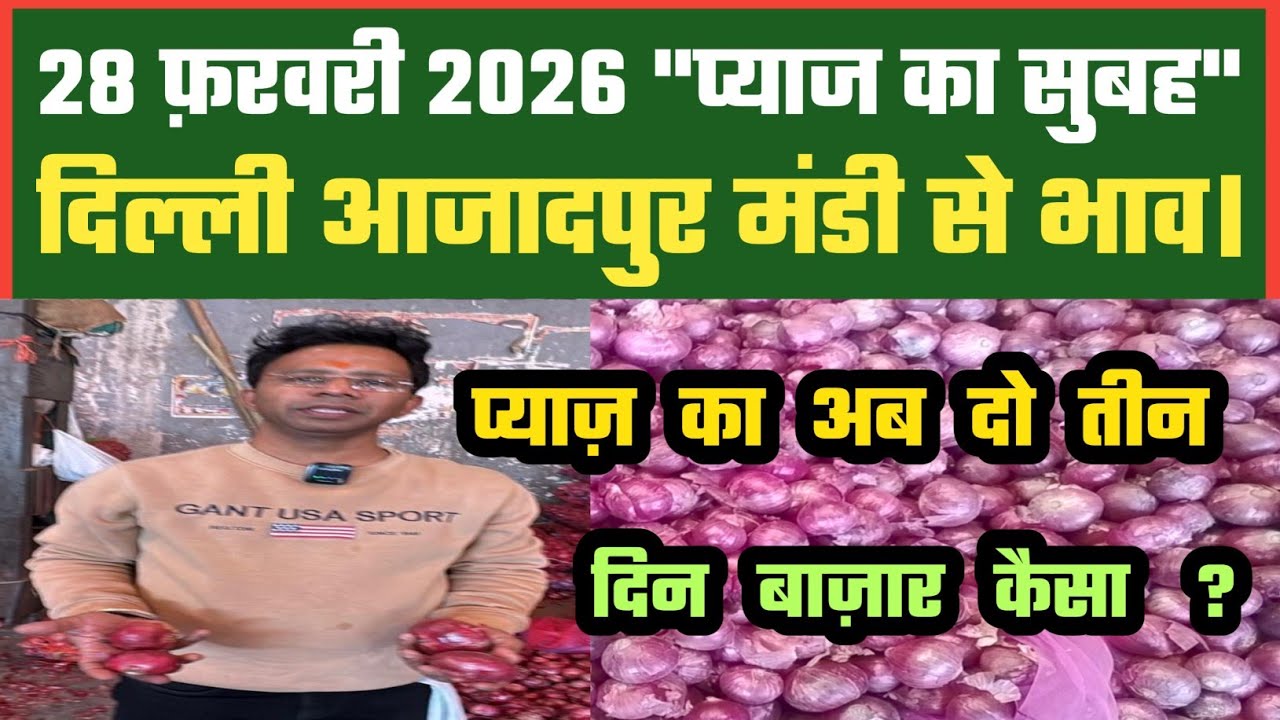 आज प्याज का बाज़ार कैसा ? Azadpur Delhi Mandi Today में 28-02-2026 के Onion Price DMT TV