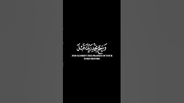 كرومات ايات قرانية شاشة سوداء || سورة ق للقارئ #بيشوا_الكردي #سورة_ق #سبحان_الله_وبحمده #الحمدلله