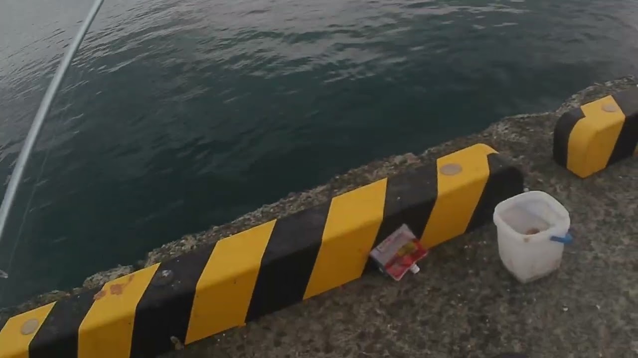 2026/2/20 外房で釣りしてきた