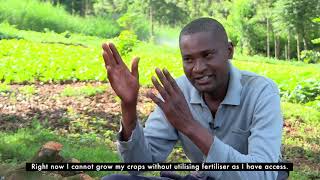 How Digi Farm is turning Smallholder Farmers into Profitable Farmers screenshot 5