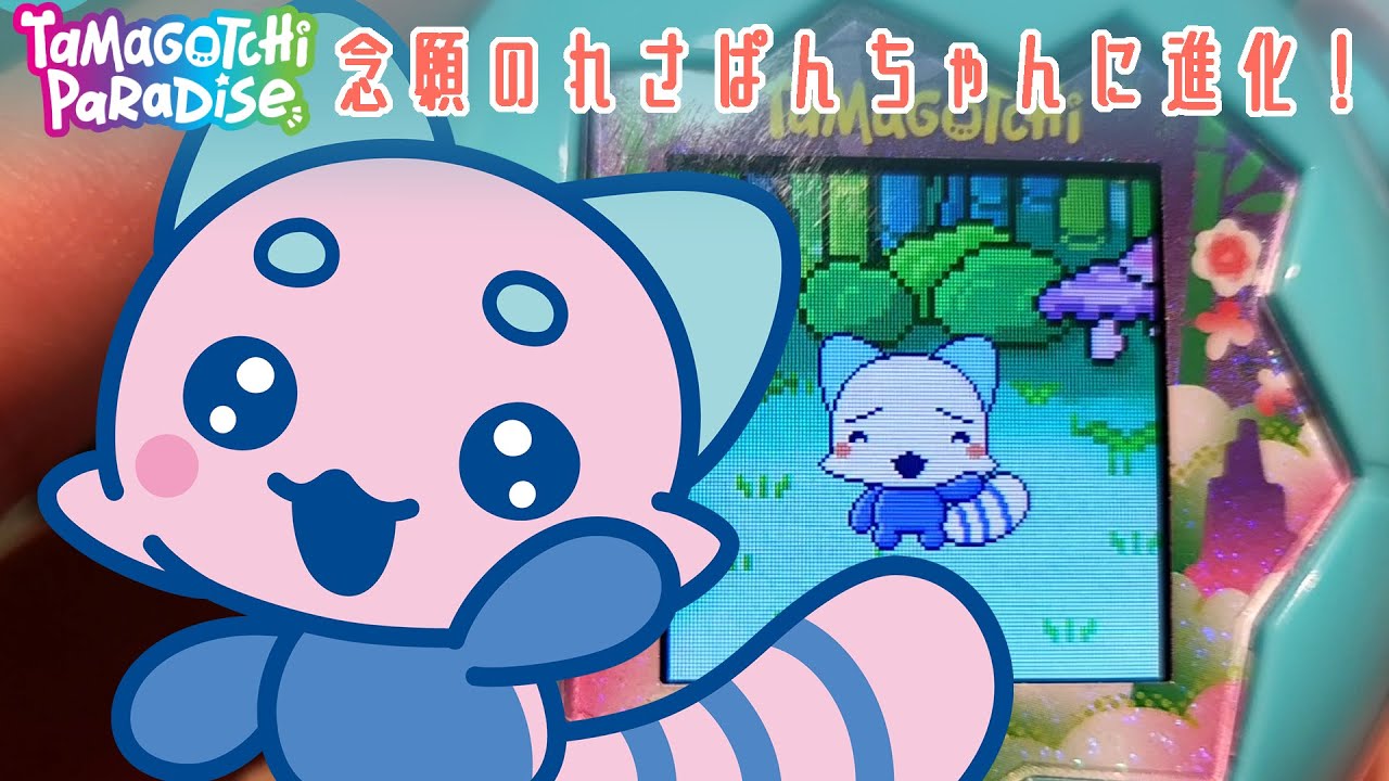 【たまごっち パラダイス】れさぱんちゃんかわいすぎる！進化条件も教えちゃいます！【Tamagotchi Paradise】