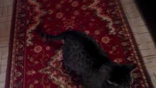 Снимала дочка (8 лет)...