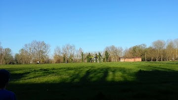 Goblin 700 compétition New beastx plus by nox vol