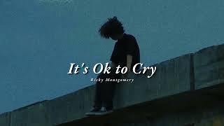 Vietsub | It's Ok to Cry - Ricky Montgomery | Lyrics Video