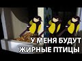 VLOG Разговоры в машине. Ночной город. Новости с ремонтного фронта.