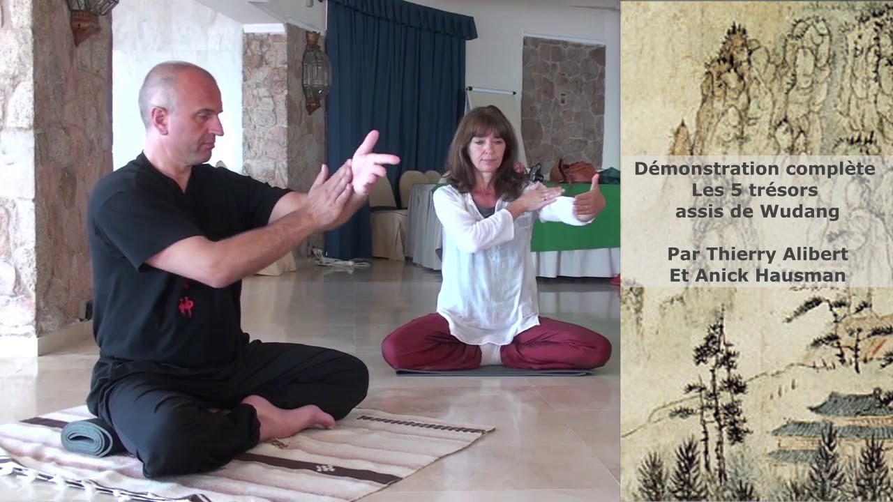 Démonstration complète les 5 trésors assis de Wudang par Ecole TAO -Thierry Alibert 7ème Dan FFK