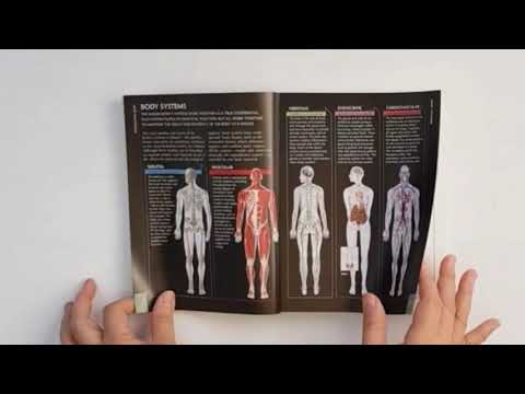The concise Human body