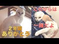 【㊗️200】引っ越し前日にまさかの血尿と嘔吐…病院の精密検査後、無事に引っ越しが完了しました☆
