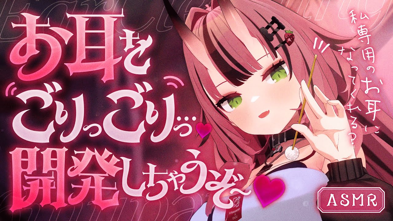 【途中広告なし💓耳かきASMR】お耳をごりっごりっ…！開発しちゃうぞ♡【バイノーラル】- 2025/3/5