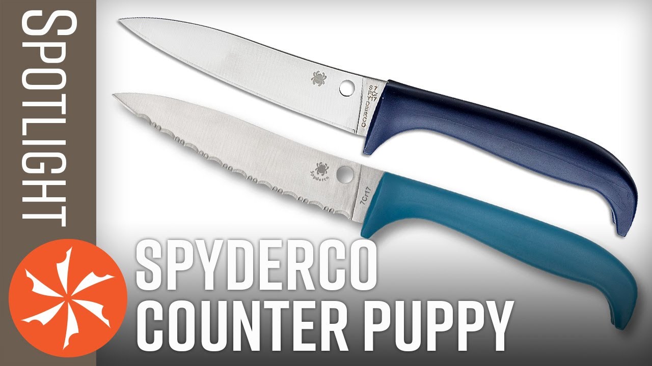 Spyderco Counter Critter Kitchen Knife K21PBL, Blue