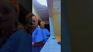 La Danse Des Belles Filles Peuls