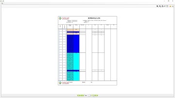 NETPRO/MINE Help Videos - Borehole Log Report
