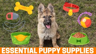 10 Essential Supplies for your New German Shepherd Puppy