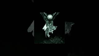 Gratitude Never Forgets.