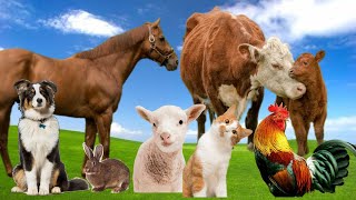 ANIMAL VOICES. TOUCAN, DEER, HARE, SHEEP SOUND, GOAT, DOG. ANIMAL SOUNDS screenshot 3