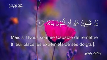 جديد | سورة القيامة كاملة ♥♥ | معاذ بلبشير