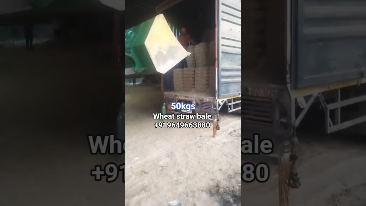 50kgs wheat straw bale 