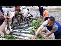 Duwali fishing in nepal himalayan trout asala machhakhotang fishingnepal