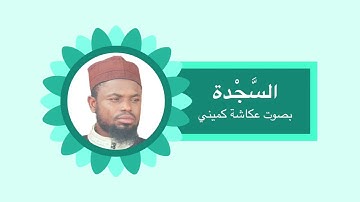 سورة السجدة بصوت القارئ عكاشة كميني