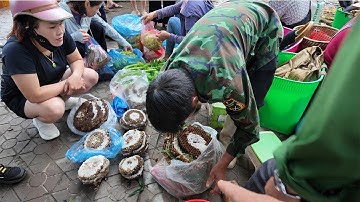 Lang Thang Trải Nghiệm Chợ Phiên Cán Cấu Vùng Cao Tây Bắc chợ Bắc Hà p9 video 4k