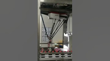 Automatic Unscrambler of Bottle in Daily Care Industry by Delta Robot