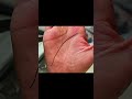 Mind line palmistry  #palmistry #palmanalysis #palm #palmist #hastrekha #jyotish #astrology #shorts