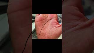 Mind line palmistry  #palmistry #palmanalysis #palm #palmist #hastrekha #jyotish #astrology #shorts