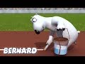 Bernard Bear | The Olympic Stadium AND MORE | Cartoons for Children