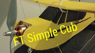 Why did I choose the FT Simple Cub ...build thoughts and experiences (good and bad)