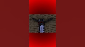Thumbnail of When a Spider gets inside your Minecraft house (Animated #shorts)