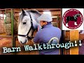 BARN TOUR! National Shire Horse Show in ENGLAND! (Episode 5) Apollo The Shire