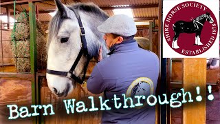 BARN TOUR! National Shire Horse Show in ENGLAND! (Episode 5) Apollo The Shire