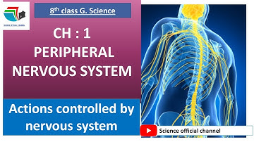 Class 8 Science Peripheral nervous system|| 8th class Science Chapter 1  PNS in hazargi
